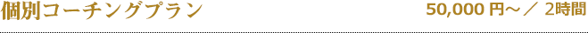 個別コーチングプラン 50,000円〜／2時間